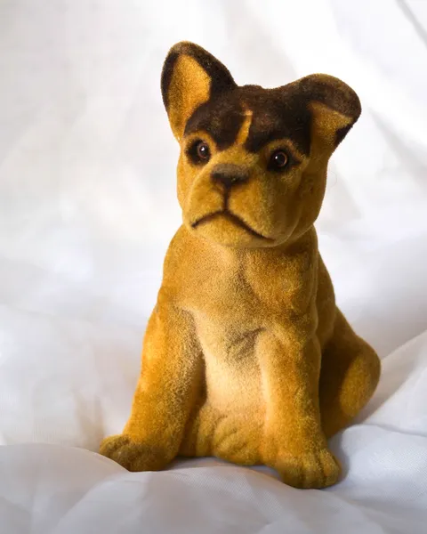 Bulldog francés afelpado