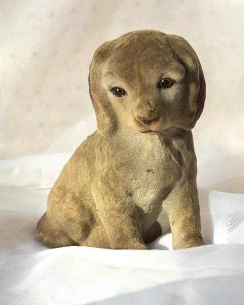Cachorro afelpado