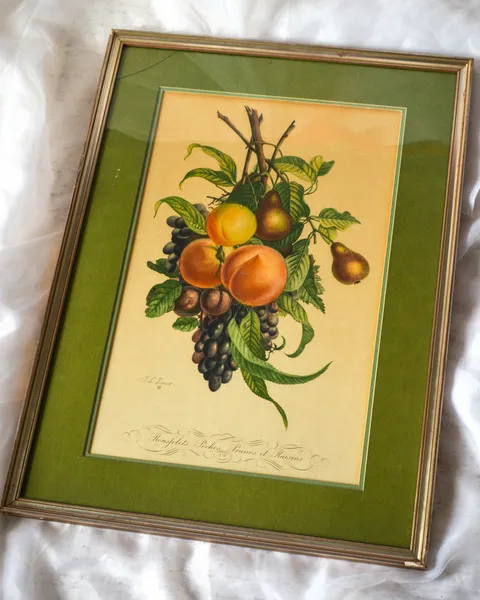 Cuadro de frutas