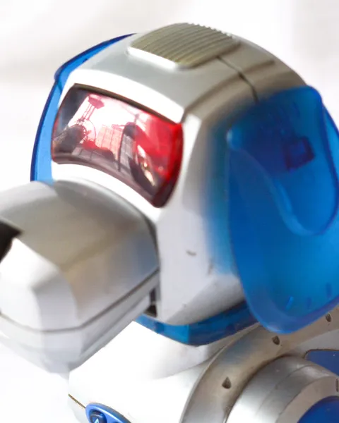 Perro robot, foto 4